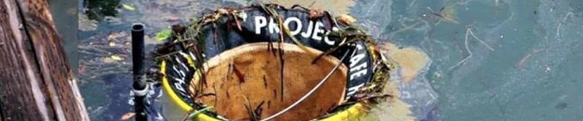 Environmental Commitment